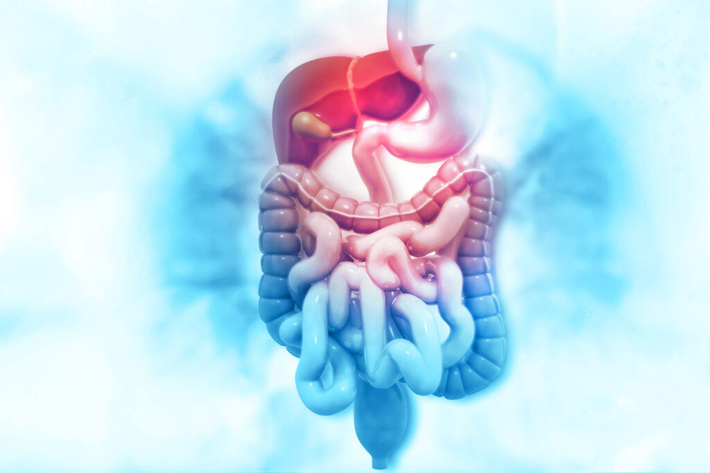 Liver-X-Receptors-LXR-Detoxing-Weight-Anti-Infection-1024x682
