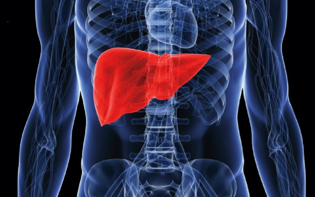 FibroScan: The Future of Liver Fibrosis Diagnosis Made Simple