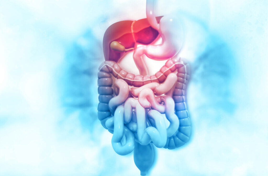 The Link Between Gastrointestinal Issues and Liver Health